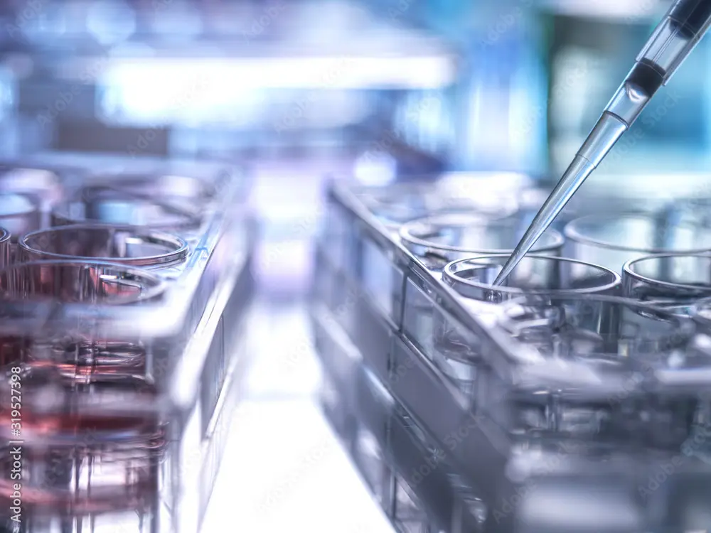A closup of a sample in a research facility