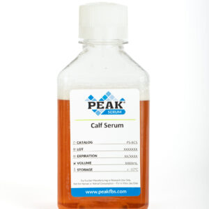Calf Serum